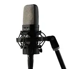 Warm Audio WA-14 Microphone à condensateur à large diaphragme 2 Warm Audio WA-14 Microphone à condensateur à large diaphragme – Image 2